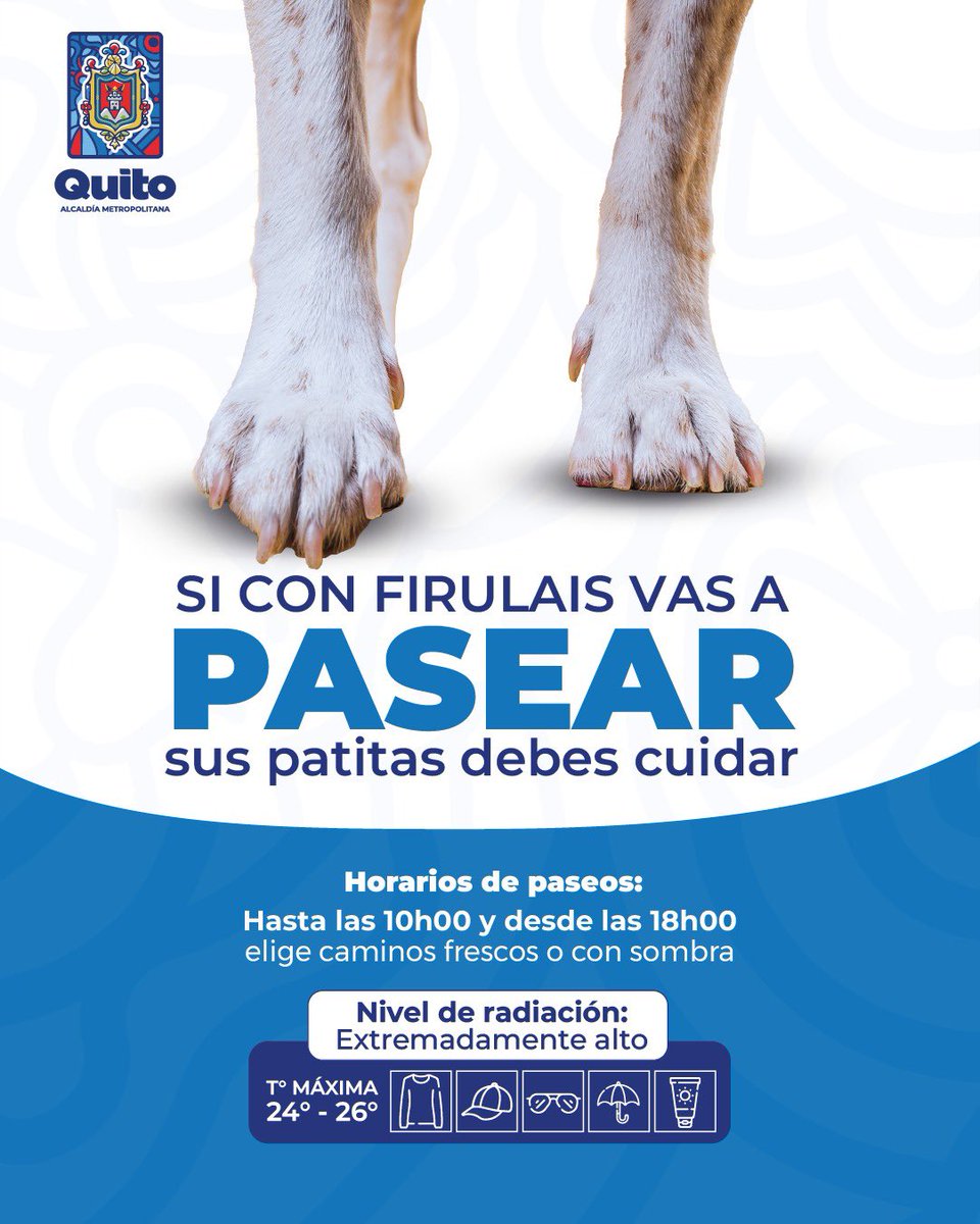UBAQuito's tweet photo. 🐾☀️ #QuitoNosCuida | ¡Cuida sus patitas del calor! 🔥

Durante épocas de alta radiación, es importante mantener a los animales de compañía resguardados para evitar golpes de calor y quemaduras en sus patitas 🐶🐱

Sigue nuestras recomendaciones y protégelos del sol

#QuitoRenace https://t.co/aulOhmrq1N