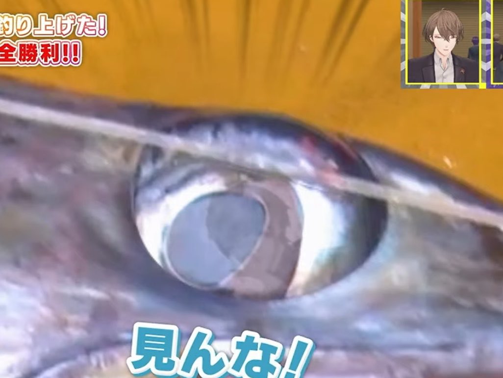 もちた tweet media