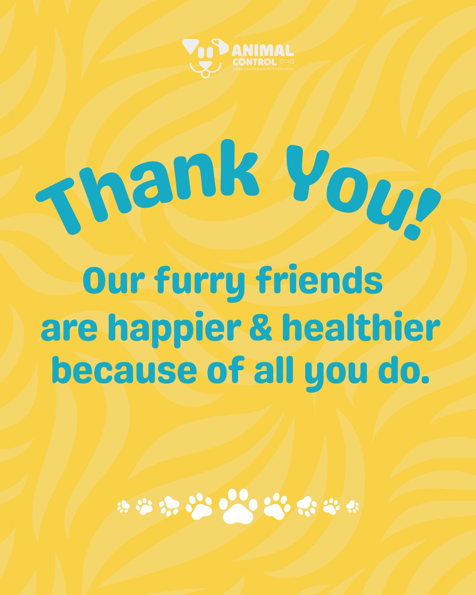 SummitExecutive's tweet photo. We know you are familiar with these furry faces, but have you ever wondered who keeps their tails wagging?🤔

💙It's our amazing staff and volunteers at Summit County Animal Control! They are just as loveable and keep our four-legged companions in the best care. https://t.co/t4Ga30Nzi6
