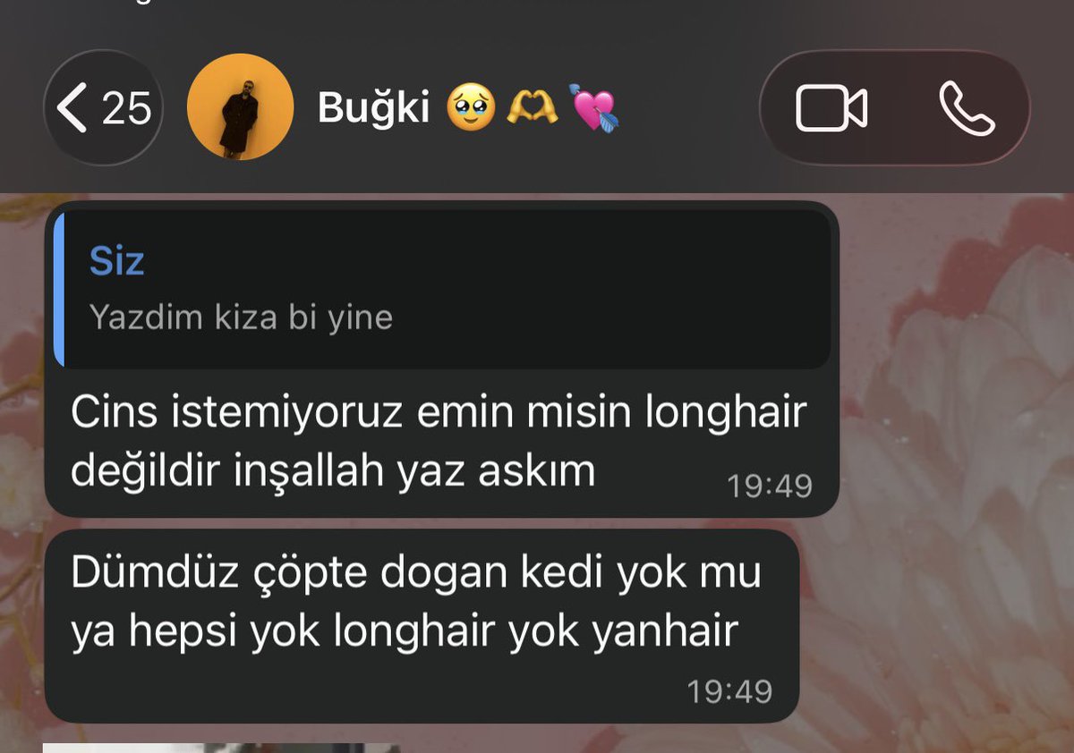 isilayxdd's tweet photo. bizim tekirden baska kedi istememezlik https://t.co/2sY4PLJlHZ