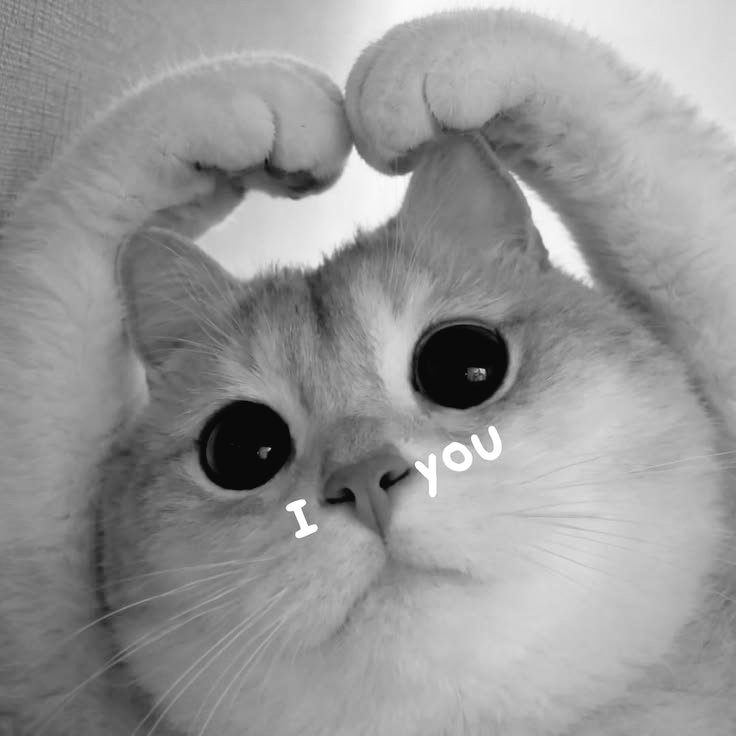 rintikmadu's tweet photo. ㅤ

Serotonin of the day. GEMAS AMAY GEMAS AMAY GEMAS AMAY. Karena kita udah besar si tengil itu udah jauh melampaui tinggi si kakak (re: Gemi) alhasil lebih banyak mau nyubitnya daripada peluk. 🤏🏻🤏🏻🤏🏻🩷🙈😆🧚🏻‍♀️
ㅤ
ㅤ https://t.co/EiPUO0Cjb5