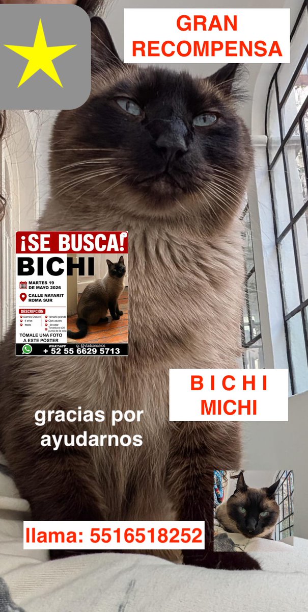 CarlaFaesler's tweet photo. ¡¡¡gracias por tu ayuda!!! :,,,( https://t.co/Xn4qTH39YV