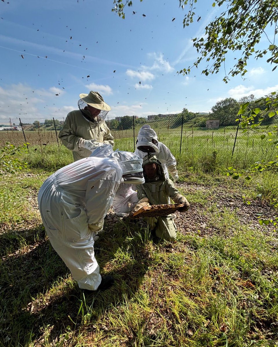 CEMEXFrance's tweet photo. 🐝Le 29 avril dernier, les équipes de Cemex et leurs enfants se sont réunis sur le site de Saint-Maurice-l’Exil pour une formation dédiée à l’apiculture. Depuis quatre ans, un partenariat local avec un apiculteur passionné permet d’accueillir trois ruches sur le site.🍯 https://t.co/U48ioYYej1