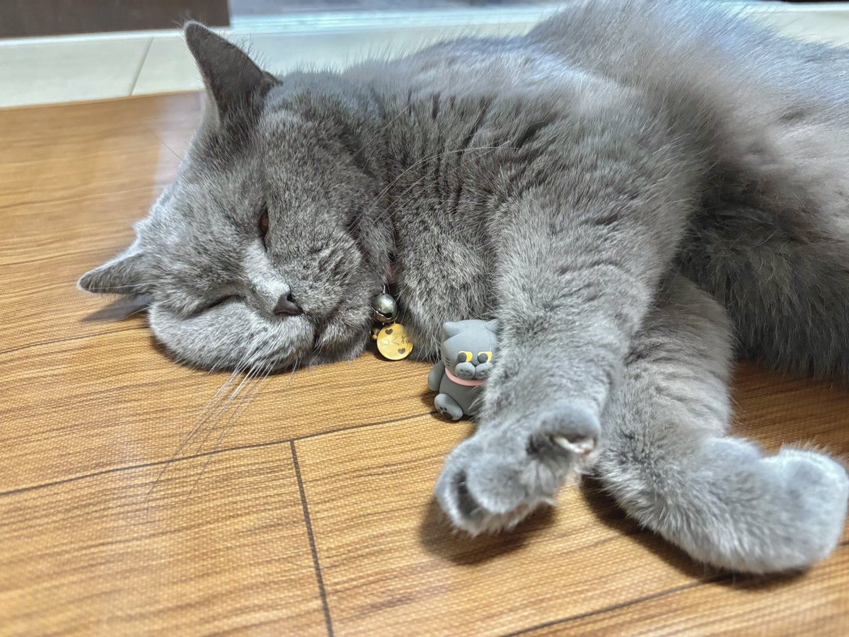 dotnuko's tweet photo. つくねんど with木曜日のつくね https://t.co/jXVUeuraQo