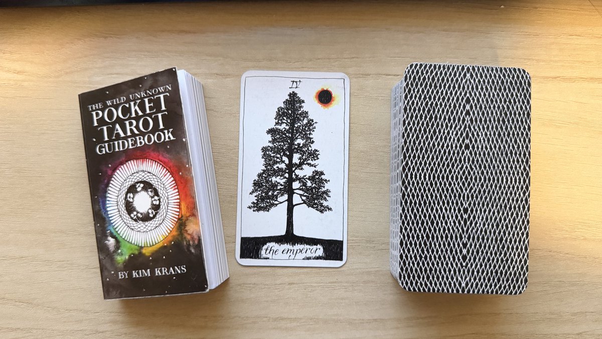 SnewoVT's tweet photo. Card of the day: The Emperor!  Let me know what this card means for you https://t.co/y83KpX6D2e