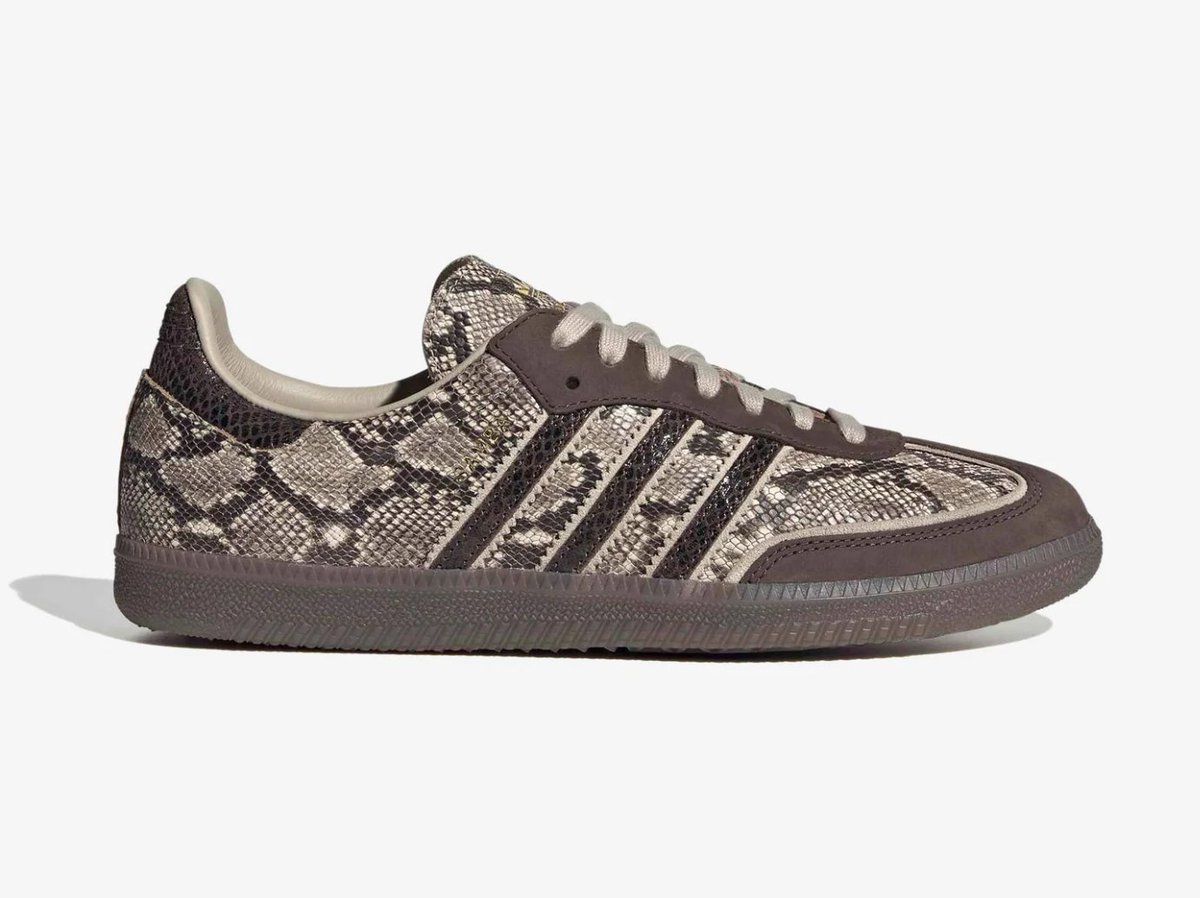 SOLELINKS tweet media