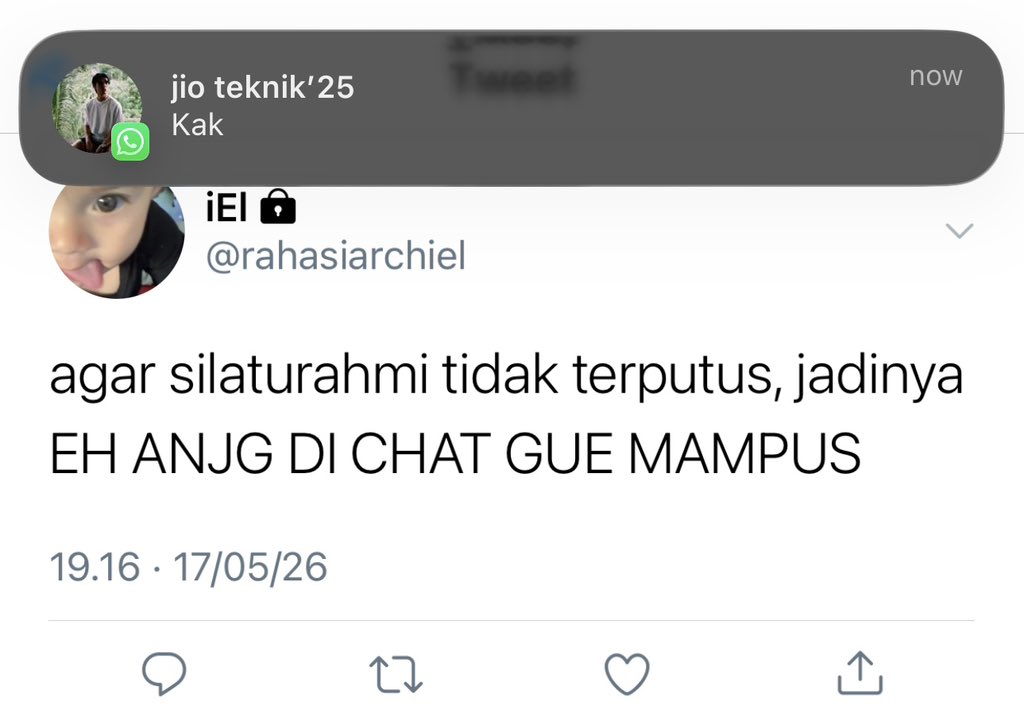 rina tweet media