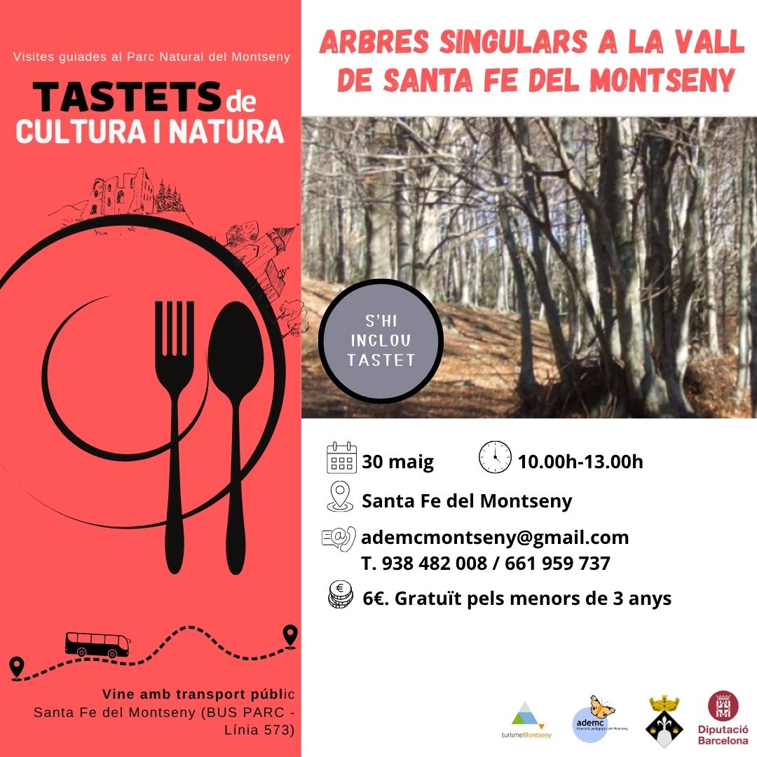 TurMontseny's tweet photo. 🌳✨ Descobreix els arbres singulars de la Vall de Santa Fe del #Montseny en una visita guiada amb tastet inclòs!
📅 30 maig | 🕙 10-13h
🚍 Vine amb Bus Parc línia 573
📩 ademcmontseny@gmail.com
#TurismeSostenible #Natura #SantaFeDelMontseny https://t.co/xzNfC6vjl5