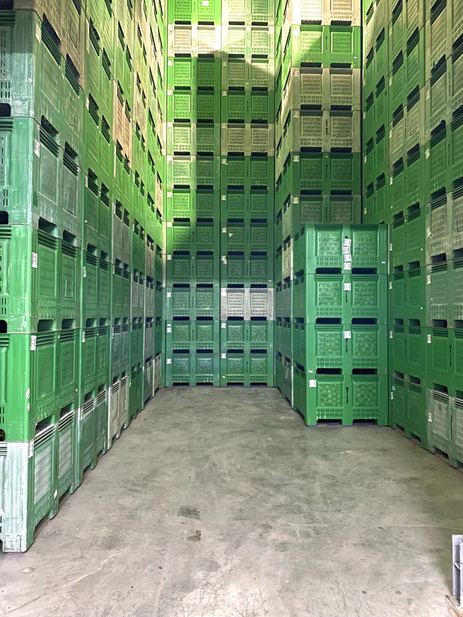 Giropoma's tweet photo. Las cámaras de conservación son el secreto para que puedas disfrutar de la manzana de #Giropoma durante todo el año. Gracias a un control preciso de temperatura, humedad y atmósfera, la fruta mantiene todas sus propiedades desde la cosecha hasta tu plato.🍏🍎 https://t.co/nj3KM5LhGb