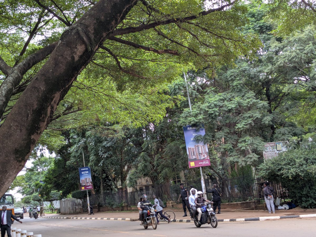 chills_valee's tweet photo. 🚨Stay Alert!

There is an Ebola patient sighted around the National Theatre. 

The police are redirecting people to avoid crossing paths with the patient. https://t.co/AUjND2oncP