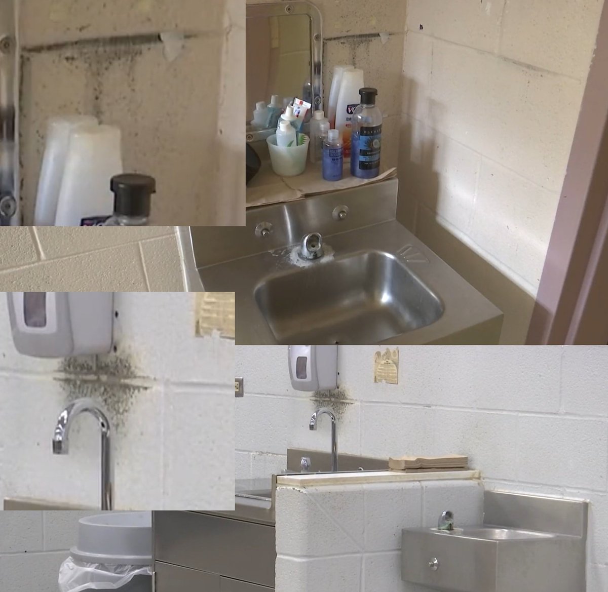 sixohwtf's tweet photo. @BinghamtonDaily @HealthNYGov What looks like black mold in cells/common areas.
Source: https://t.co/dVumzxMIe6 https://t.co/dy5tipPrMe