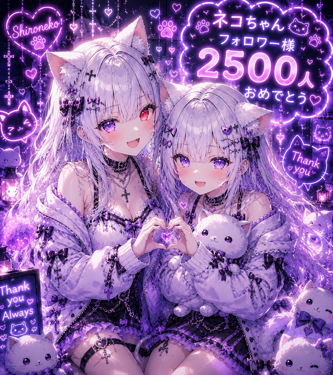 ✨꒰ঌ白猫໒꒱✨ tweet media