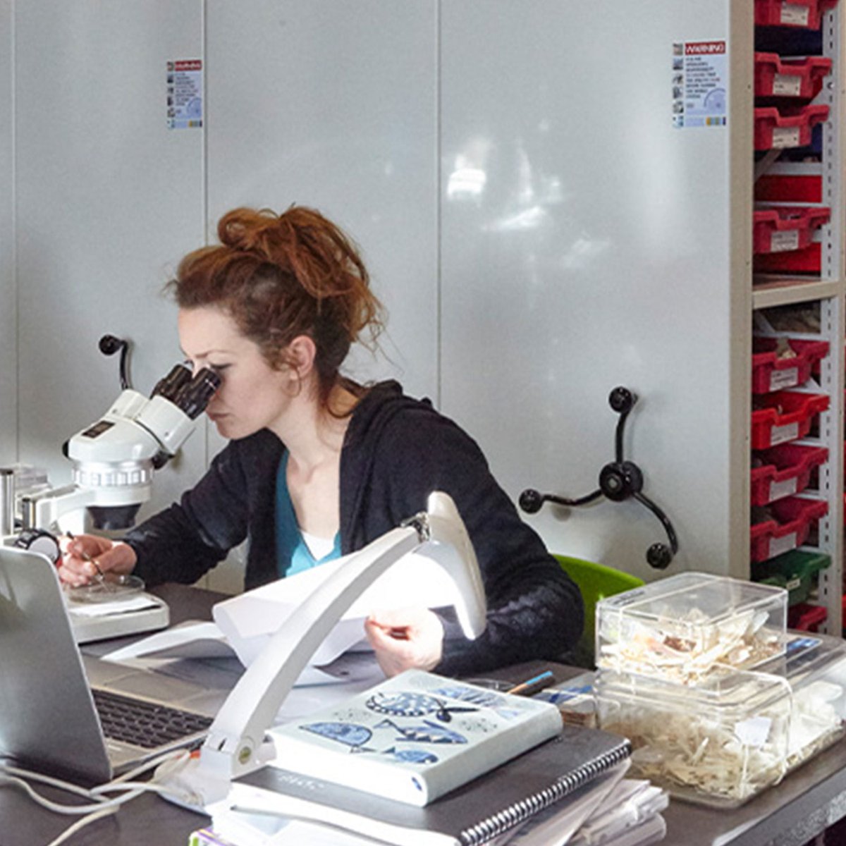 Rackline's tweet photo. Rackline's teams are experts in the provision of storage systems for organisations within scientific and research fields:

https://t.co/vXnPBeMrIH

#scientist #research #innovation #construction https://t.co/b516N13xCr