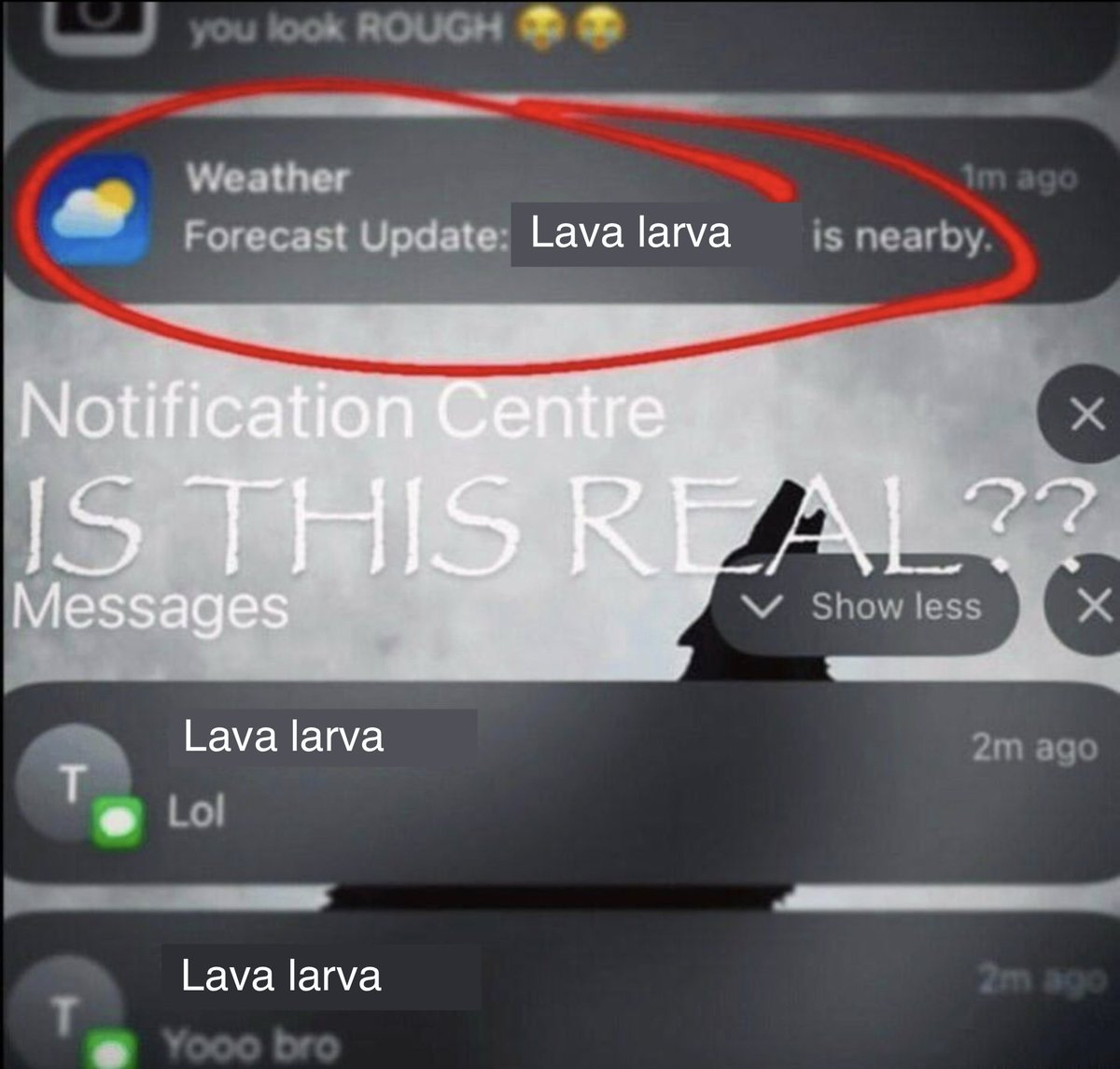 Lava Larva tweet media