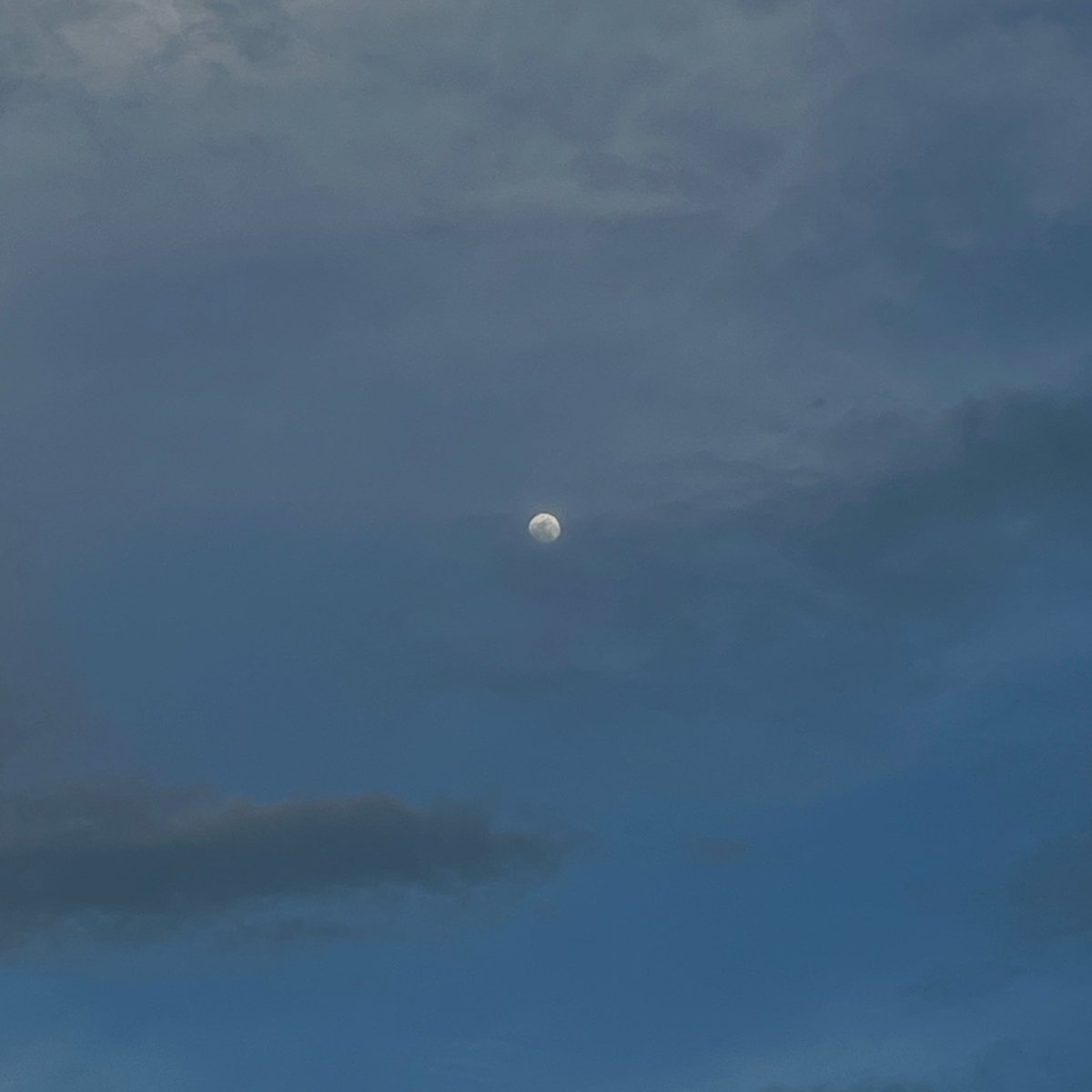 bornorReal's tweet photo. If one day you hear the moon whispering your name, don’t ask why, because every night, I tell the moon how much I miss you https://t.co/mOc8ZOEevL