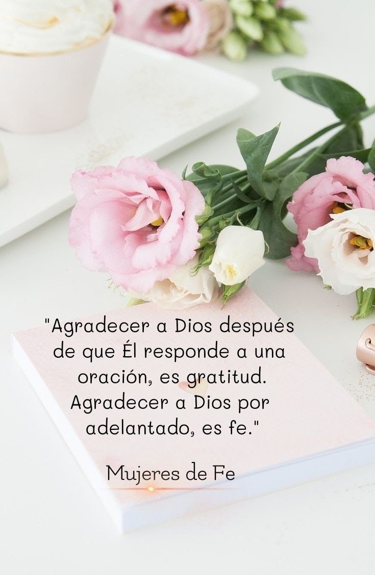 MedinaVima's tweet photo. Buenas Días con la bendición los acompañe siempre muchas bendiciones para todos  Dios Te Bendiga 🌹🌹🤗 https://t.co/6OpZJKOeMv