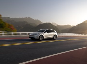 teslachoi테초이 tweet media