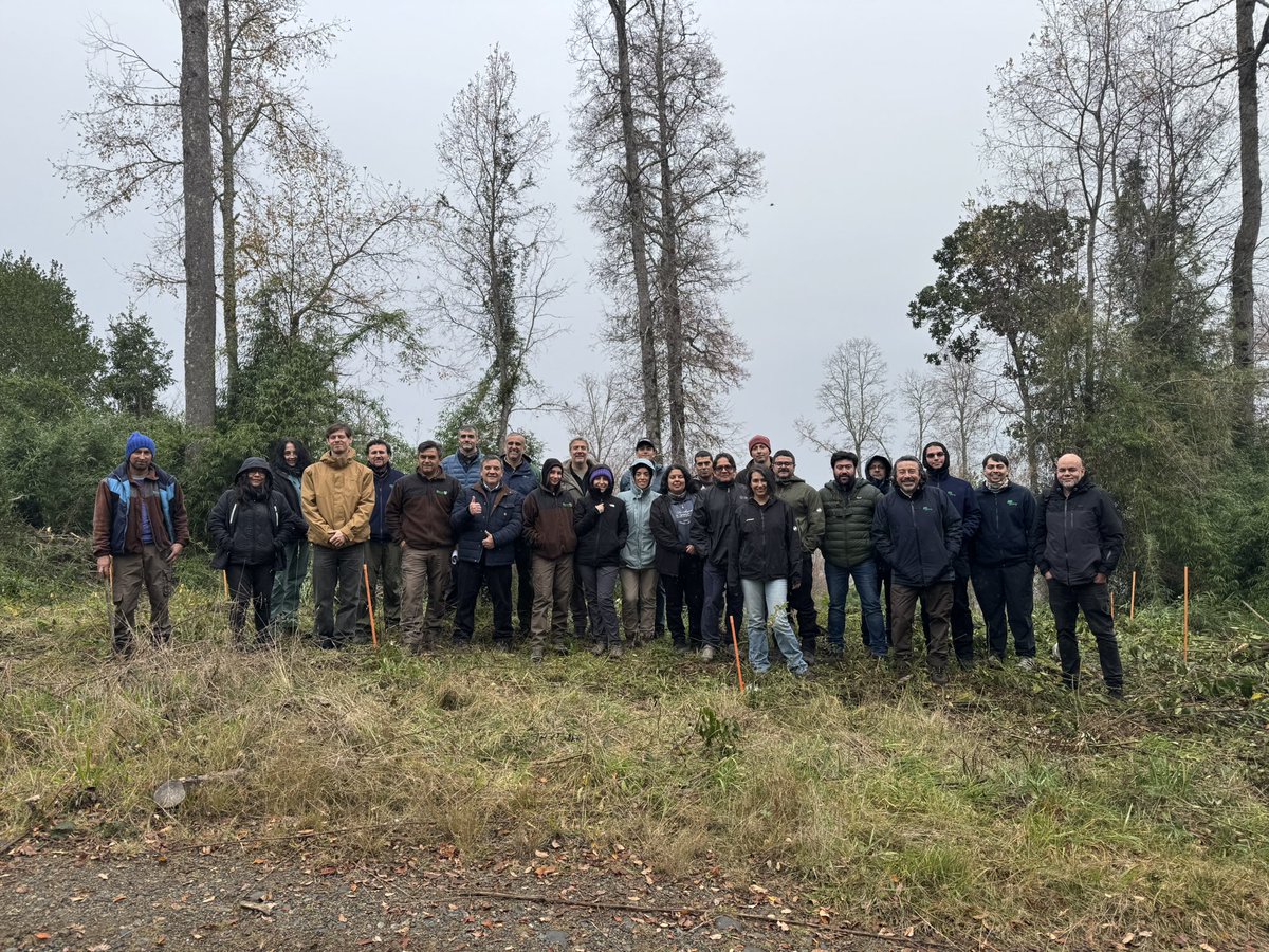 conaf_losrios's tweet photo. 📍#LOSRÍOS| Misión FAO Roma junto a profesionales de la Corporación participaron de jornada en terreno para conocer el trabajo de la Estrategia Nacional de Cambio Climático y Recursos Vegetacionales y su proyecto +Bosques. Visitaron el Vivero Huillilemu y reconocieron distintas generaciones de árboles y el avance en la producción de plantas nativas 🌱

Posteriormente nos trasladamos a Lanco para visitar el predio Curi Ruca y el manejo forestal que se ha realizado en la zona, en el marco de la ENCCRV y el proyecto +Bosques.