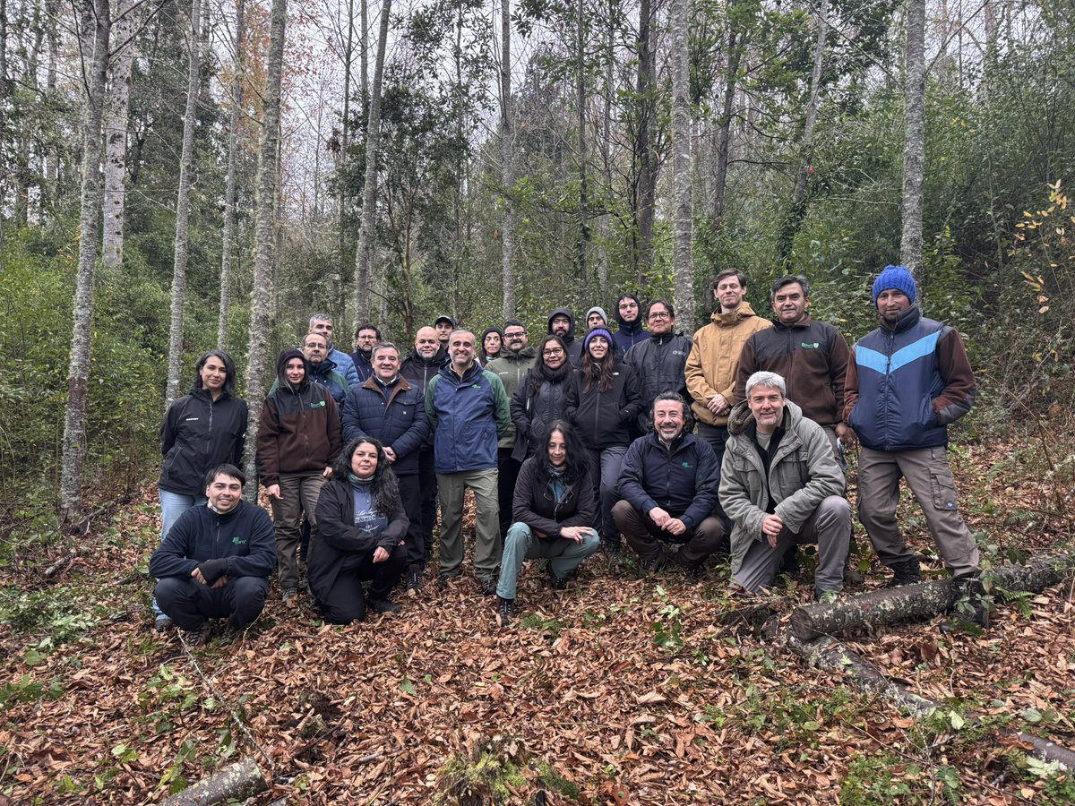 conaf_losrios's tweet photo. 📍#LOSRÍOS| Misión FAO Roma junto a profesionales de la Corporación participaron de jornada en terreno para conocer el trabajo de la Estrategia Nacional de Cambio Climático y Recursos Vegetacionales y su proyecto +Bosques. Visitaron el Vivero Huillilemu y reconocieron distintas generaciones de árboles y el avance en la producción de plantas nativas 🌱

Posteriormente nos trasladamos a Lanco para visitar el predio Curi Ruca y el manejo forestal que se ha realizado en la zona, en el marco de la ENCCRV y el proyecto +Bosques.