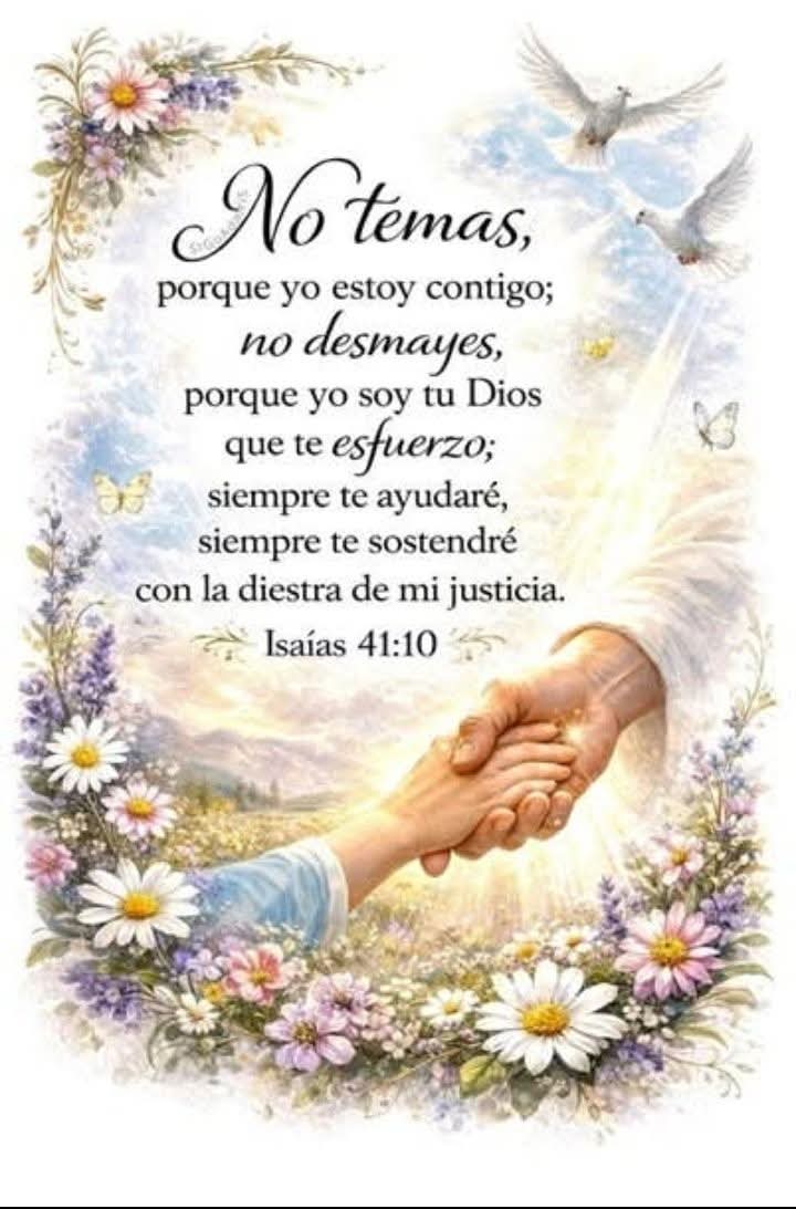 MedinaVima's tweet photo. https://t.co/v1lLd2bvf4