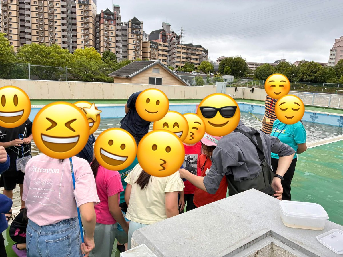 tmunathis's tweet photo. 愛宕小学校さんでプール掃除前のヤゴ取り会をしてきました🙌 https://t.co/NVnRSTWxEz