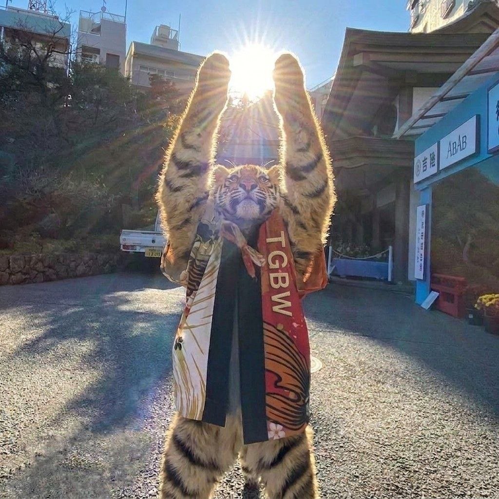 TigerLinkz's tweet photo. Pov : You feel the sun after an intense pvp session https://t.co/BAb8HuqrVy