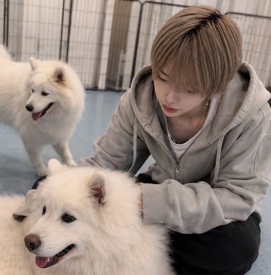 1b2ic's tweet photo. 可愛かった〜🐕 https://t.co/wgIcR9AMOY