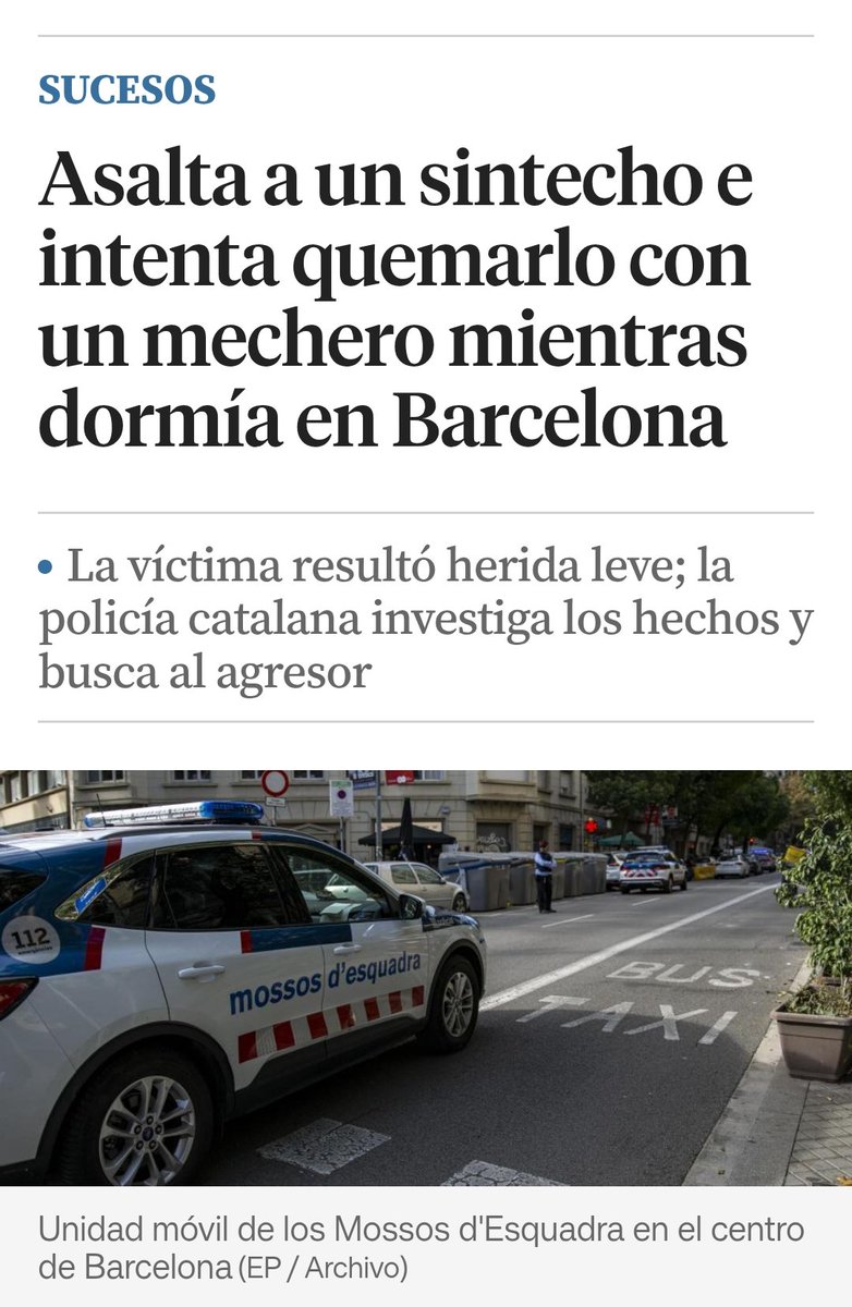 La Niña Pájaro ♰ tweet media