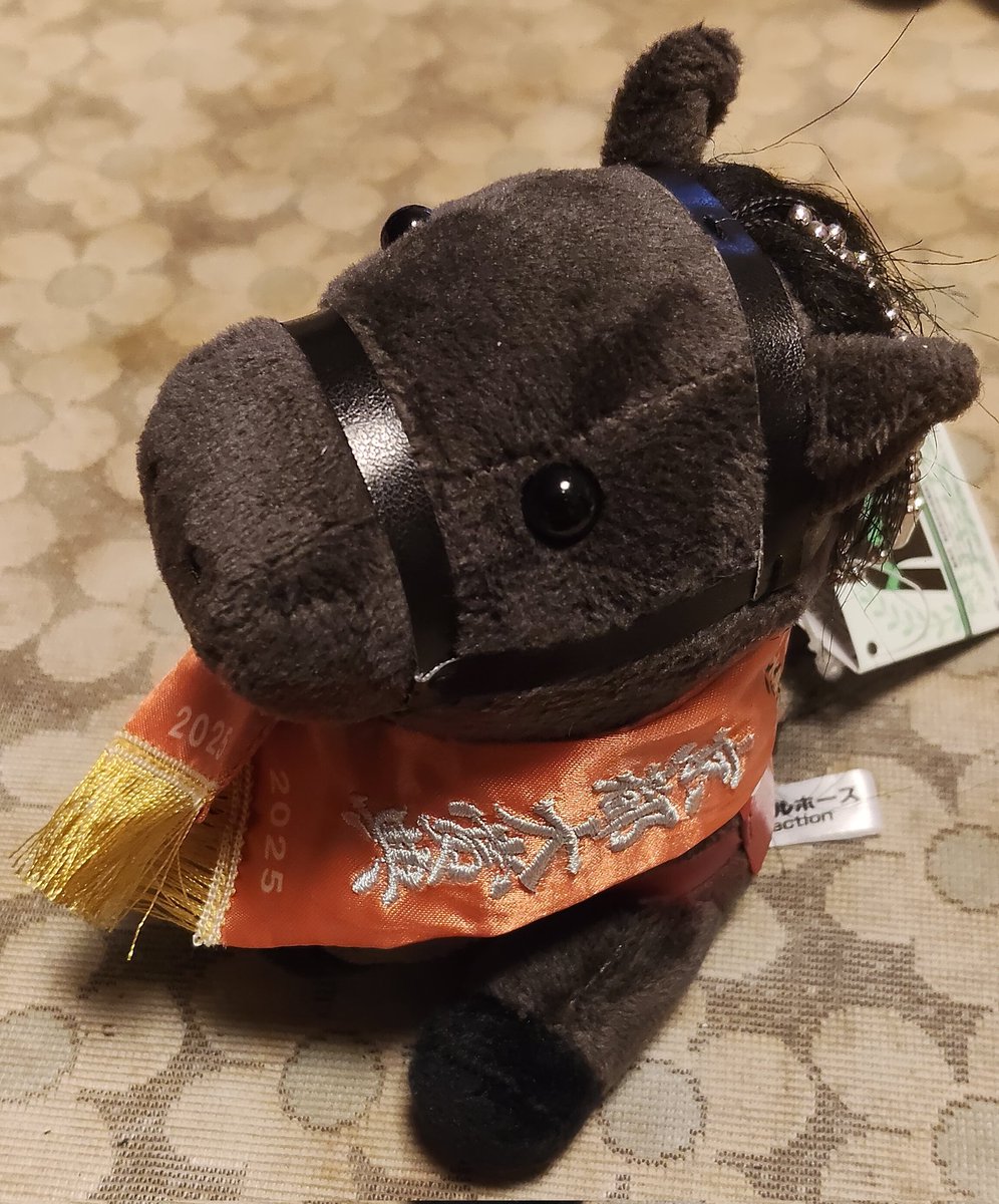 ディープモンスターのアイドルホース、届きました！ いつか実馬も見て