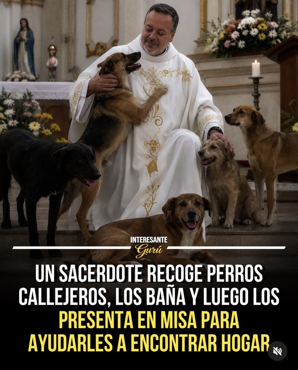 pinupseniorgirl's tweet photo. ¡¡ ESTO QUIERO Q SEA VERDAD POR Q VINIENDO DE UN CURA ME DA Q PENSAR.🤔🤔 https://t.co/V2QSRzjbp6