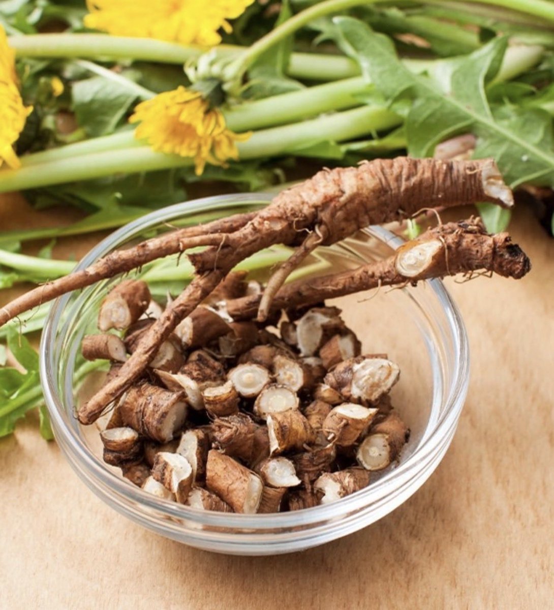 kacdnp91's tweet photo. Dandelion root extract (DRE) induces apoptosis in aggressive colorectal cancer cells. 

“The results confirmed our hypothesis that the molecular complexity of the DRE extract is responsible for its anti-cancer activity, as it allows the engaging of multiple signaling pathways in cancer cells, including the mitochondria.”