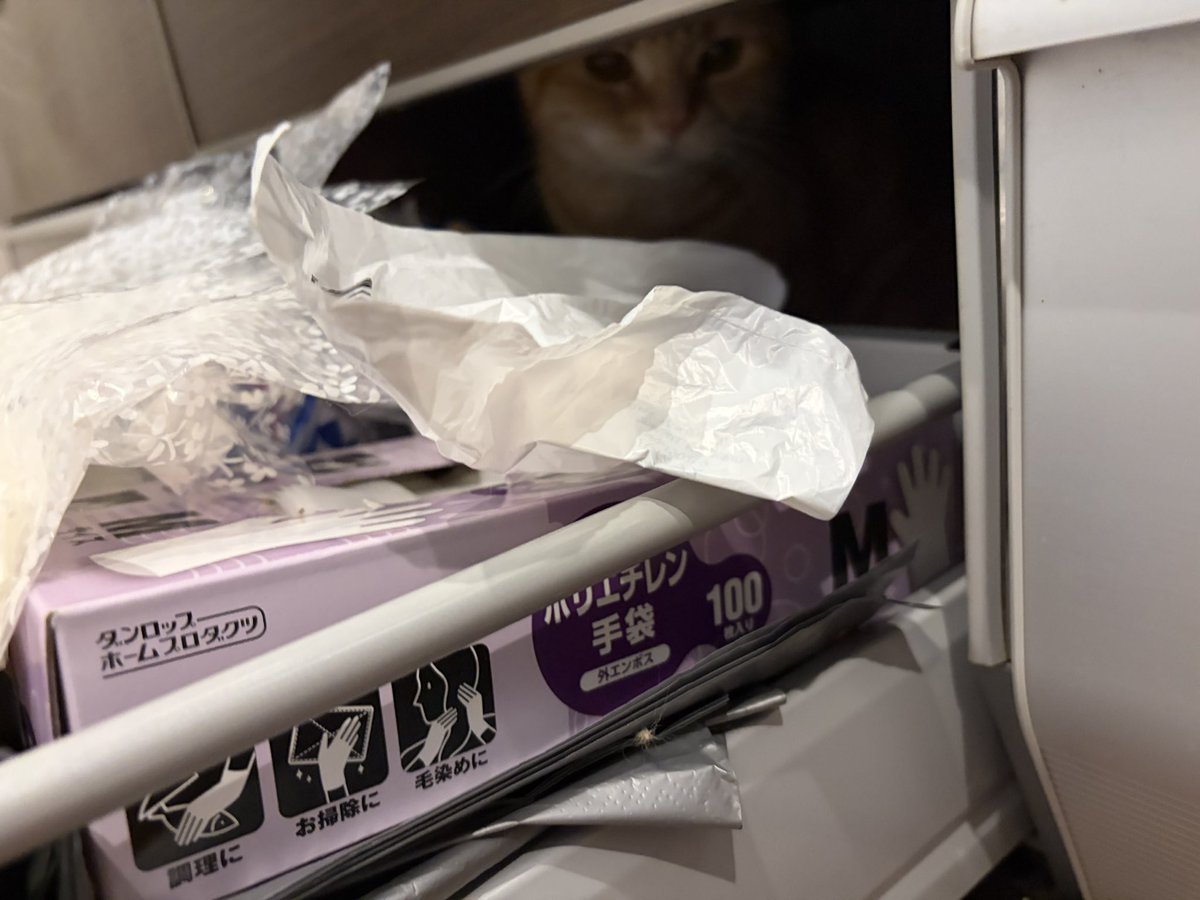 5cats_'s tweet photo. マジで猫って油断ならない https://t.co/gOnLx9G4qk