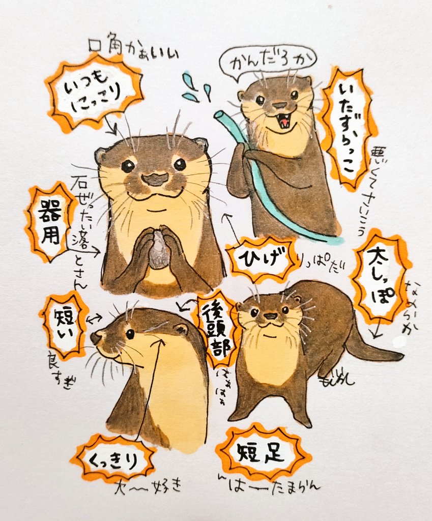 もぐらし tweet media