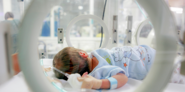 WitsUniversity's tweet photo. New post-portem study reveals over 80% of infection-related neonatal deaths in South Africa are preventable.
Read More: https://t.co/FkXu9J2TaT
#WitsForGood #WitsResearch #ResearchForGood https://t.co/7bJeZTY4w6