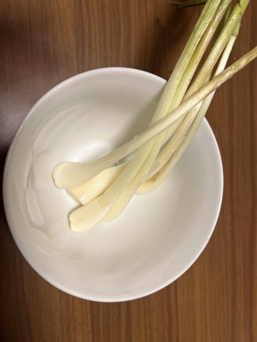 yukinezum's tweet photo. 実家からエシャレット送ってくれた！
ほんとうにすきだからうれしい！ https://t.co/L21yG12Ntl