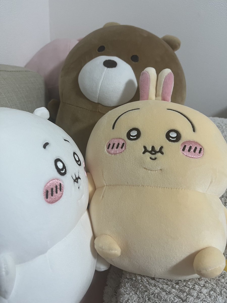 おシンこ🐰🎮シンちゃんネルEveryにゃす tweet media