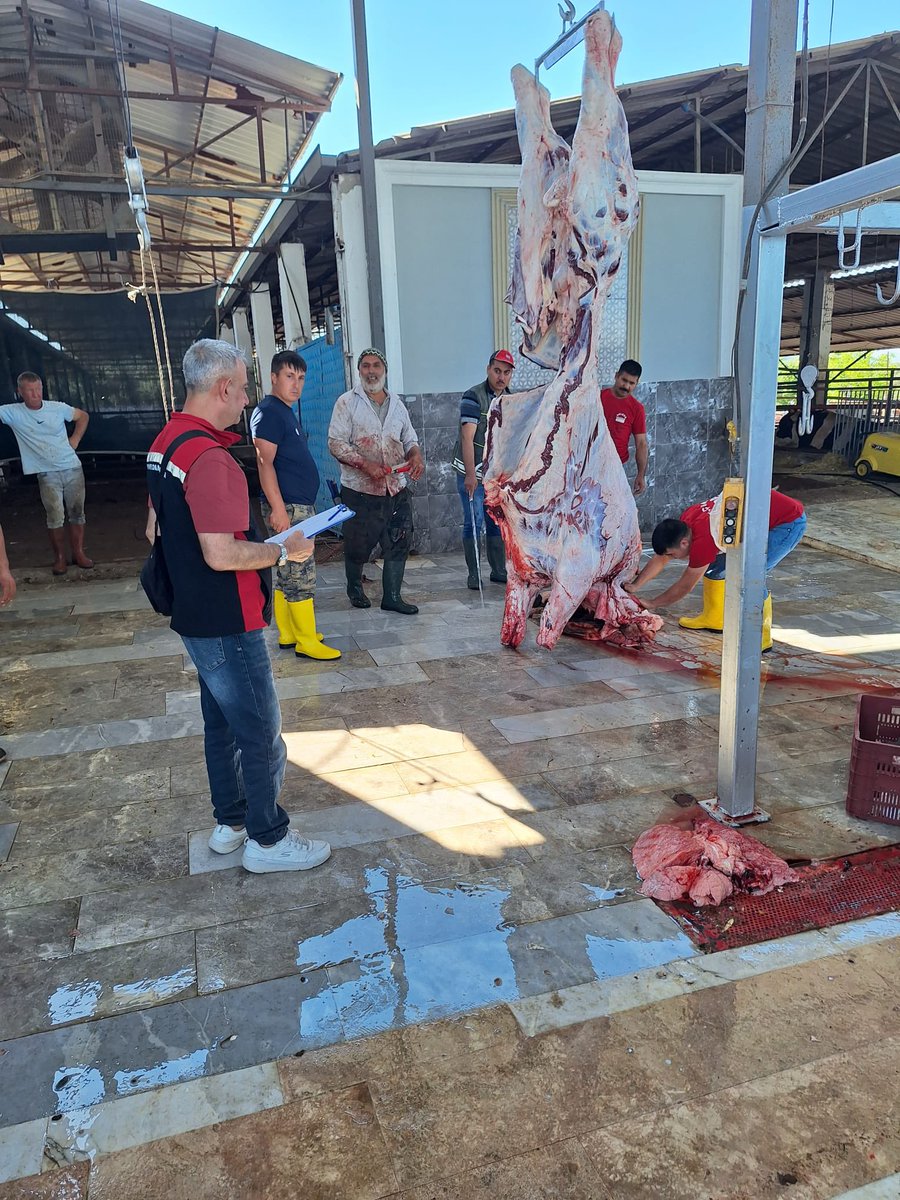 Torbalitarim's tweet photo. Veteriner hekimlerimiz tarafından Kurban bayramı boyuncakesim yerlerinde hijyen kurallarına uygun kesim yapılması amacıyla denetimler devam ediyor…

@TCTarim  @izmirtarim  @KahramanAKDGN53 @_GokhanAktas_ https://t.co/K4xZqBY9Xb