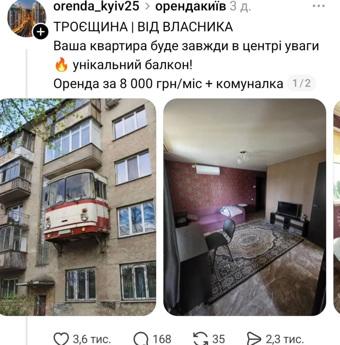 Баба і кіт tweet media