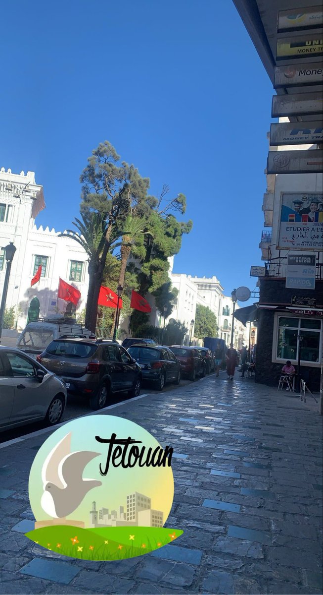 Yazton tweet media