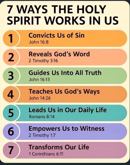 LeeFoo9's tweet photo. I can personally attest to all of these. https://t.co/62k0McAGGm