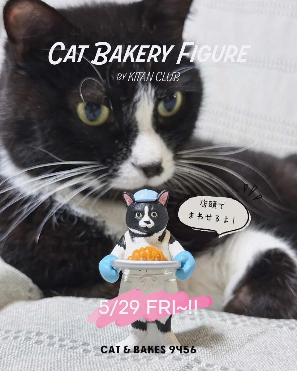 CAT & BAKES 9456 （キャットアンドベイクスグシコロ） on X