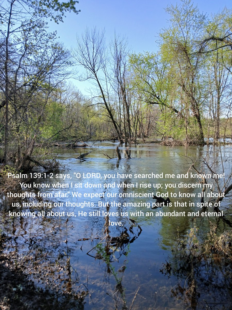 walkIN4Jesus's tweet photo. In the afternoon, I hiked the Shanklin Forest Trail. #shanklinpark #river #riverphotography #flood #forest #forestphotography #hike #hiking #nature #naturephotography #naturelover #naturebeauty #lord #searched #known #discern #thoughts https://t.co/ltU8BYDXYT