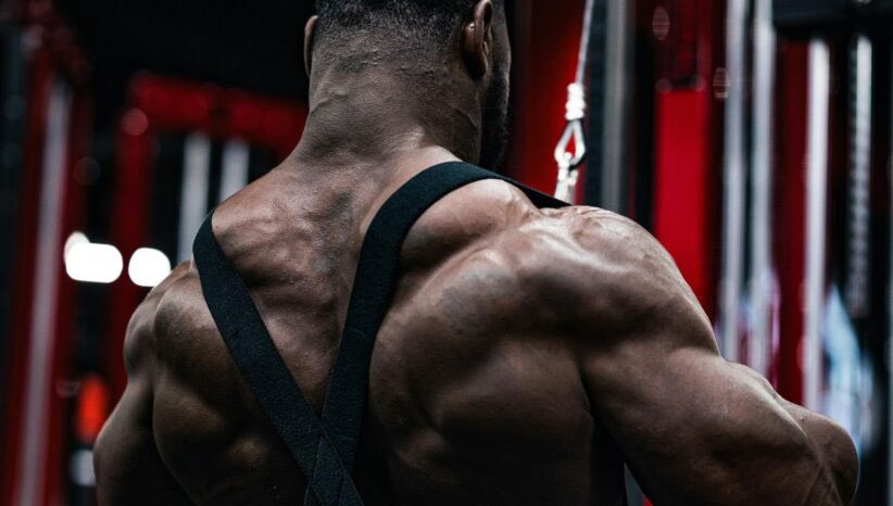 DeanTTraining's tweet photo. Traps are the new Abs

If you need help building them, let this thread be your guide: https://t.co/PHoNsTvj1U