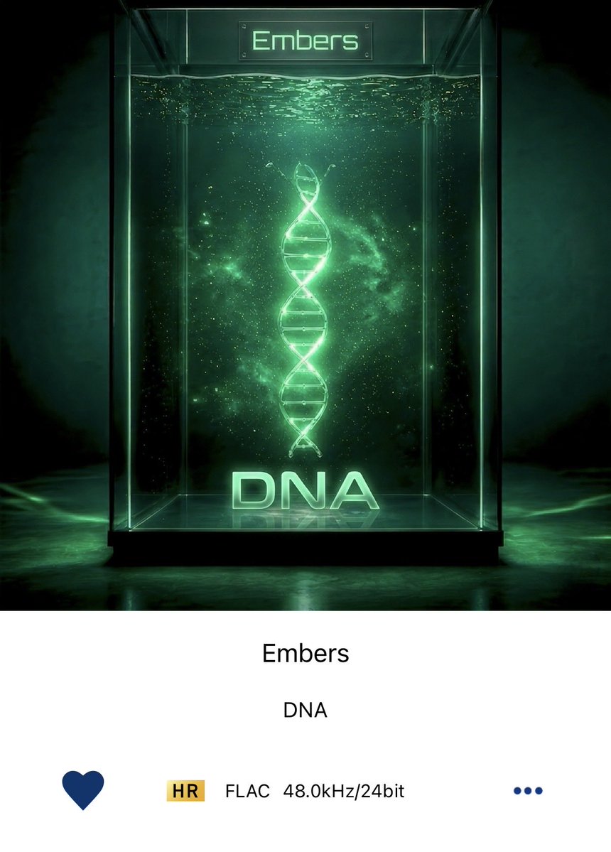 ___bmun's tweet photo. ALL IN MY DNA〜🤘🏻🤘🏻🤘🏻
って合唱したい😌🏟️🎙️🎸

#Embers_DNA
#Embers https://t.co/mRbMD7VDYn
