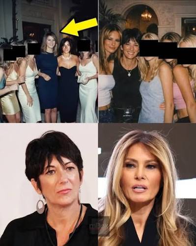 parstl's tweet photo. @NoDMsPerfavore Sluts and perverts. https://t.co/0mDGrNHypT