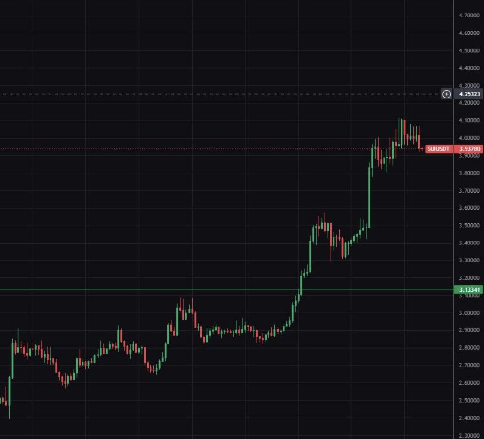 bitmexcartel's tweet photo. @AlucardTrades @Celt404 @InsilicoTrading Imajin being so blind you can’t tell the difference between insilico terminal &amp; bybit web https://t.co/AS1Yd2nnWD