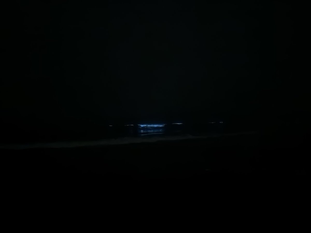 haruru723's tweet photo. 湘南エリアで夜光虫フィーバーらしいから
見に行ってきたよ☝️ https://t.co/4UarRbTyXW
