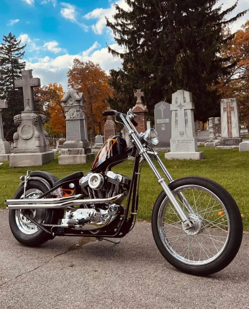 LowbrowCustoms's tweet photo. Ohio built Sporty Chop with Gasbox 3 up full frame from @dan_dellostritto for @coy #choppershit #gasbox #lowbrowcustoms #choppers #Sportsterchop https://t.co/4BAVKuuxAR