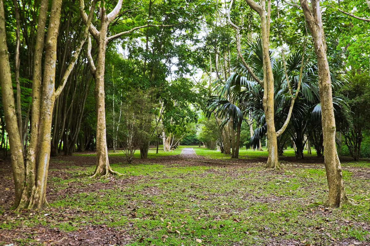 OrgulloCaleno's tweet photo. El Ecoparque de las Garzas, un pulmón de nuestra naturaleza espectacular, un lugar para caminar, reencontrarse con la fauna y la naturaleza. #CaliCo   
Foto: Iñaki Leunda https://t.co/LGGa0nYDuO