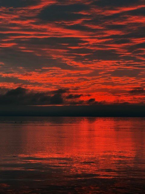 BCFMWU's tweet photo. Photo of the week: Thanks to Donna Barnes for sharing this beautiful series of sunsets from the #Tsawwassen terminal with us! 🌇 📷 https://t.co/aHvOlaeyVw